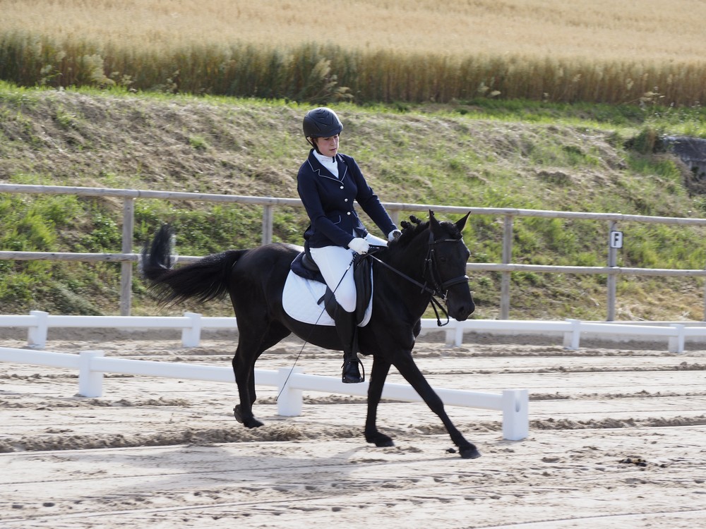 El Centro Ecuestre Izadi organiz&oacute; Tercera Fase del Campeonato Navarro de Doma Cl&aacute;sica y JDN